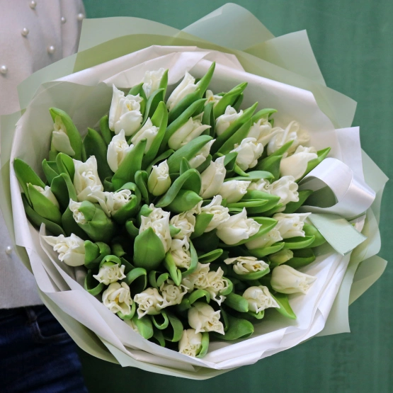 Тюльпан Сортовой