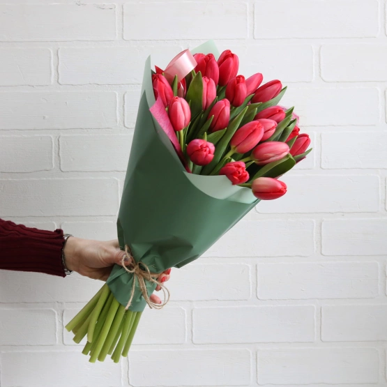 Тюльпан Россия