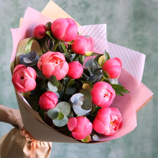 Пион Корал шарм