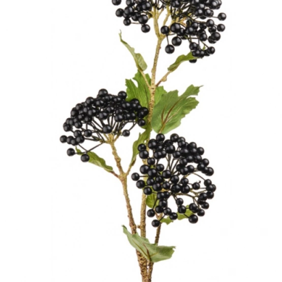 Ягода Вибурнум