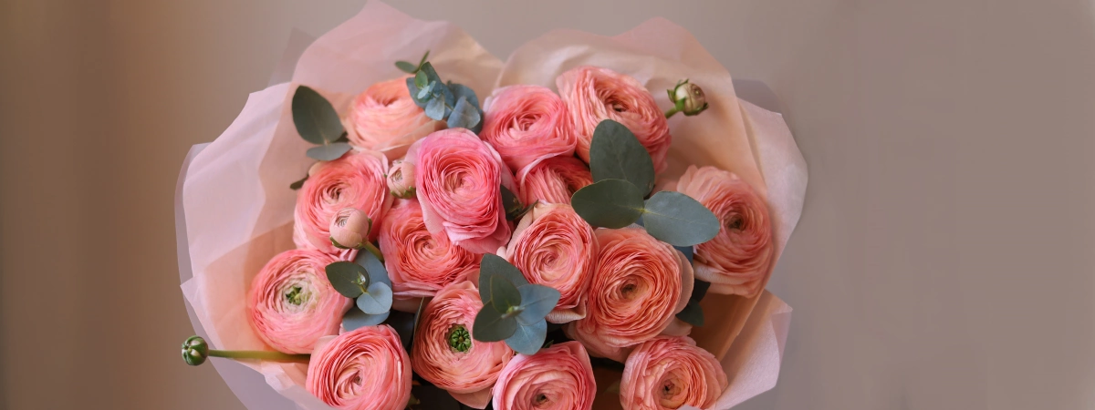 СЕЗОН РАНУНКУЛЮСОВ