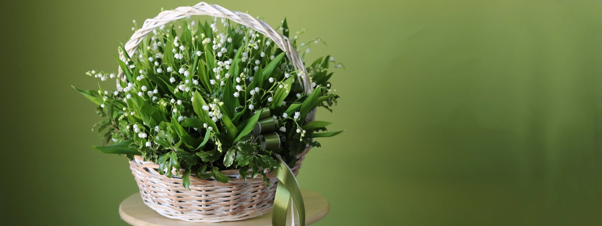 ЛАНДЫШИ в наличии