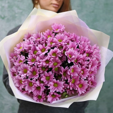 Кустовая хризантема