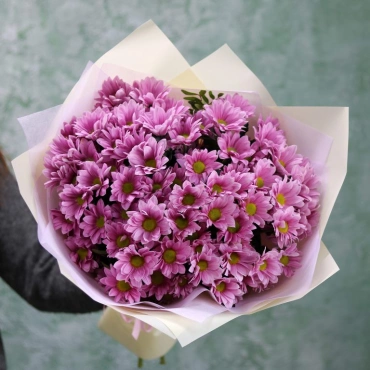 Кустовая хризантема