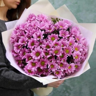 Кустовая хризантема