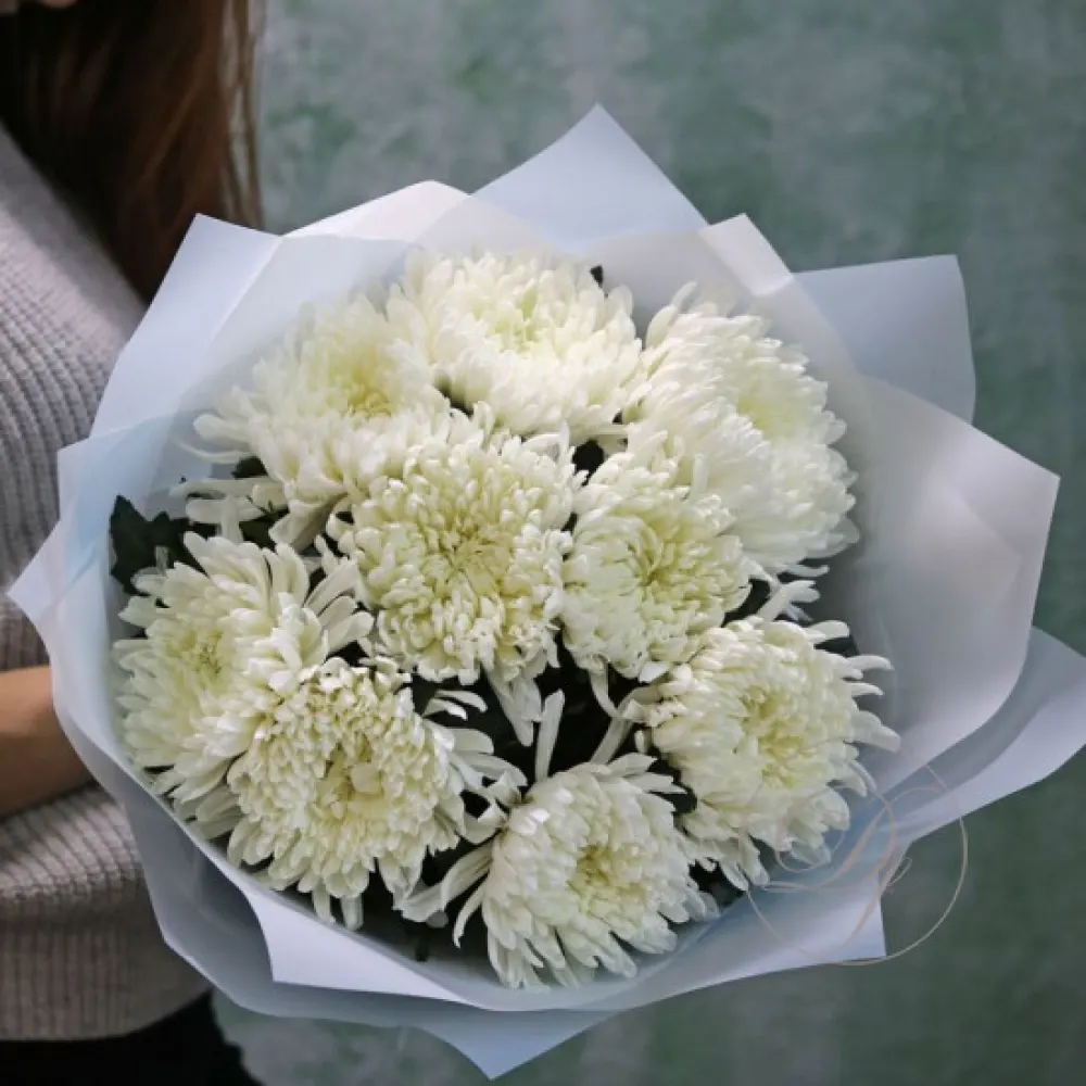 Одноголовые хризантемы, фото 4
