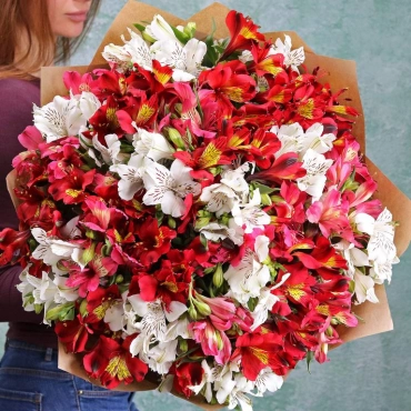 Букет из красной, розовой и белой альстромерии