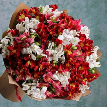 Букет из красной, розовой и белой альстромерии