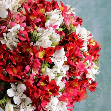 Букет из красной, розовой и белой альстромерии