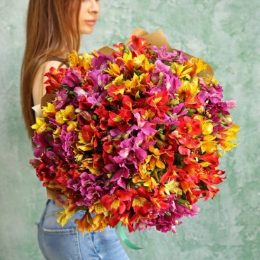 Разноцветная альстромерия