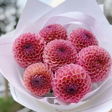 Букет из георгинов