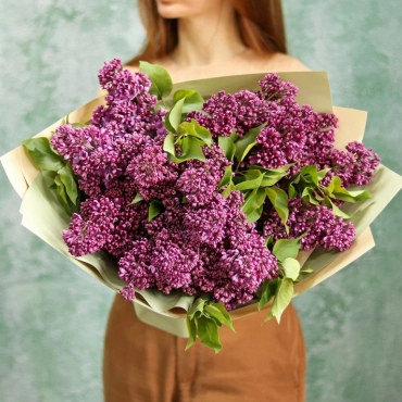 Сирень (сезонная)