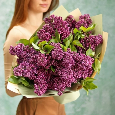 Сирень (сезонная)