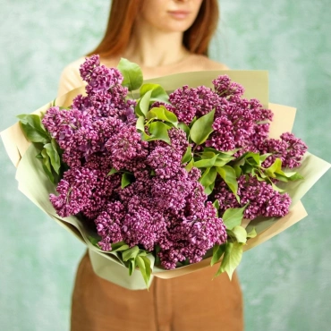 Сирень (сезонная)