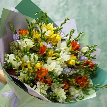 Букет из фрезии разноцветной