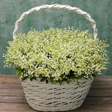 Корзина ландышей