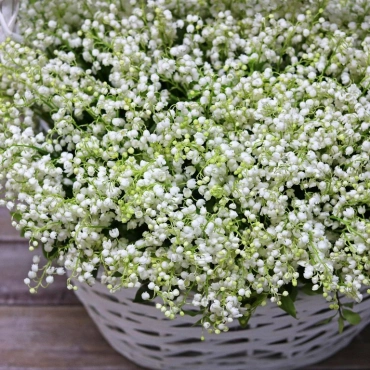 Корзина ландышей