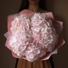 5 гортензий