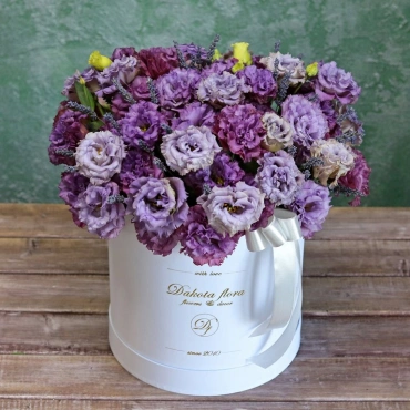 Фиолетовая эустома