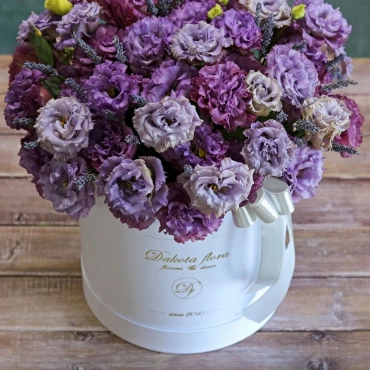 Фиолетовая эустома