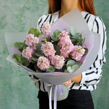 Лавандовая маттиола