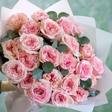 Пинк Охара и эвкалипт