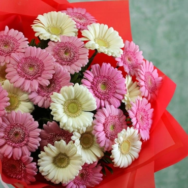 Букет с гермини