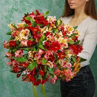Альстромерия букет