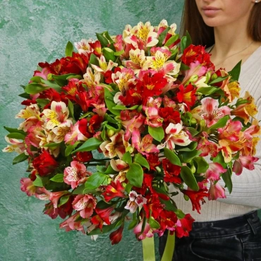 Альстромерия букет