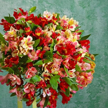 Альстромерия букет