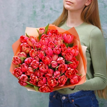 Алые махровые тюльпаны