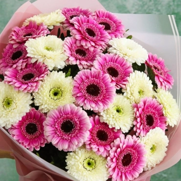 Букет махровых гермини