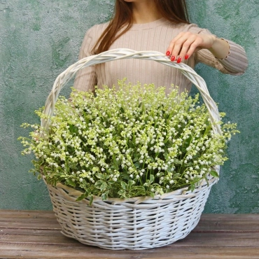 Ландыши в корзине 301 шт.
