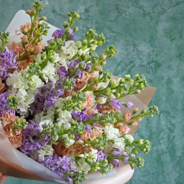 Разноцветная маттиола букет