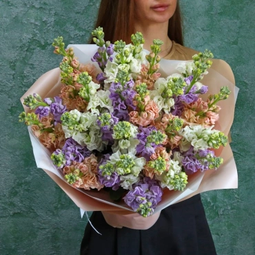 Разноцветная маттиола букет