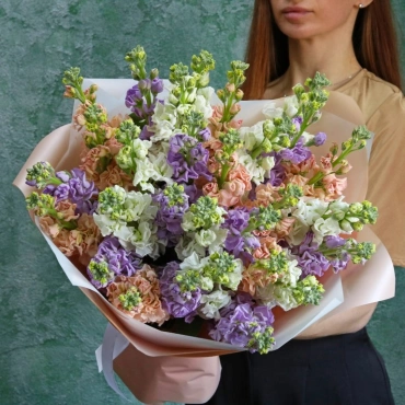 Разноцветная маттиола букет