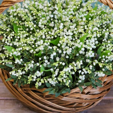 Корзина ландышей 201 шт.