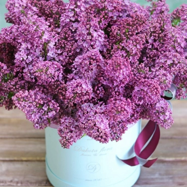 Сирень в коробке (сезонная)