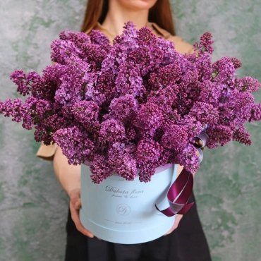 Сирень в коробке (сезонная)