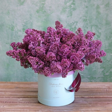 Сирень в коробке (сезонная)