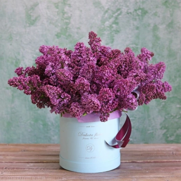 Сирень в коробке