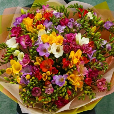 Фрезия разноцветная букет