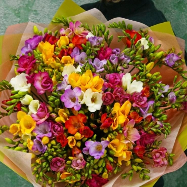 Фрезия разноцветная букет