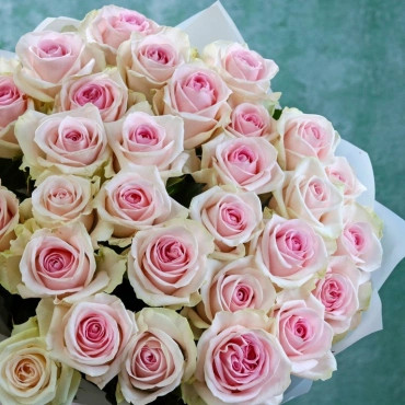 Нежно-розовые розы