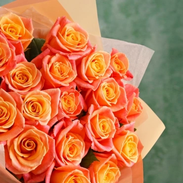 Роза Мисс Пигги 50 см