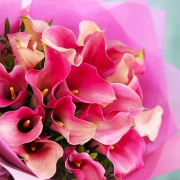 Каллы букет