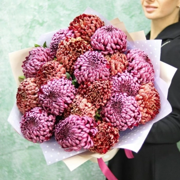 Хризантемы шаровидные