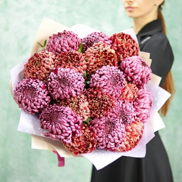 Хризантемы шаровидные