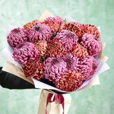 Хризантемы шаровидные