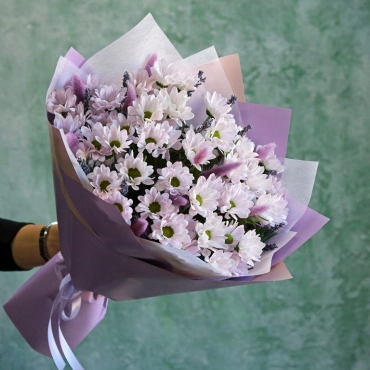 Фиолетовая кустовая хризантема